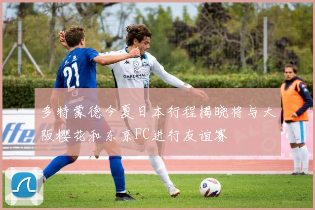 多特蒙德今夏日本行程揭晓将与大阪樱花和东京FC进行友谊赛